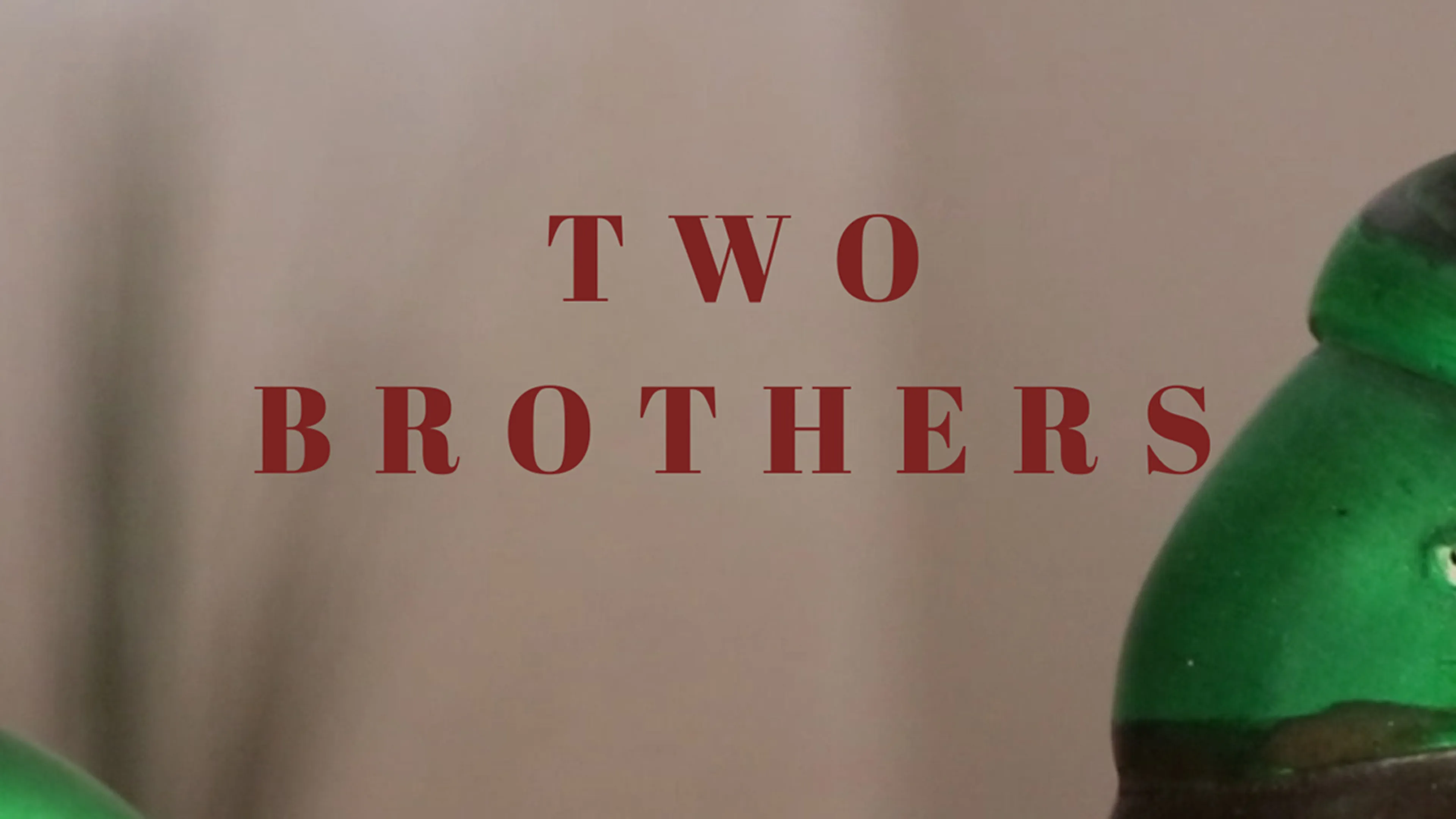 Two Brothers poster